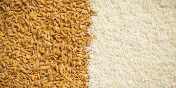 भारतले धान-चामल निर्यातमा २० प्रतिशत भन्सार बढायो, कनिका निर्यातमा रोक