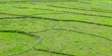 सरकारले जग्गाको कित्ताकाट खोल्यो