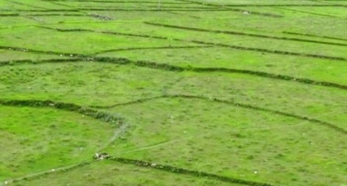 सरकारले जग्गाको कित्ताकाट खोल्यो