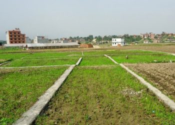 कित्ताकाटमा लहान प्रथम, वडा नम्बर – ४ बाट सुरु