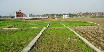 कित्ताकाटमा लहान प्रथम, वडा नम्बर – ४ बाट सुरु