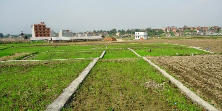 कित्ताकाटमा लहान प्रथम, वडा नम्बर – ४ बाट सुरु