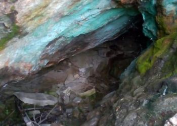 ४२० खानी उत्खनन् गर्न लाइसेन्स प्रदान