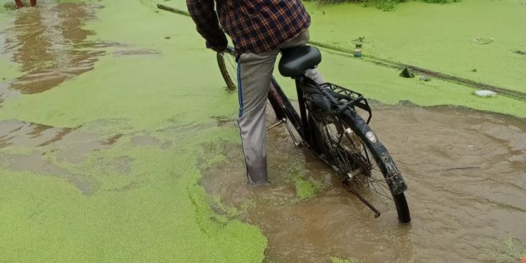 बर्षाको कारण सन्तनगर टोल डुवानमा, पानी निकासका लागि युवाहरु खटिए