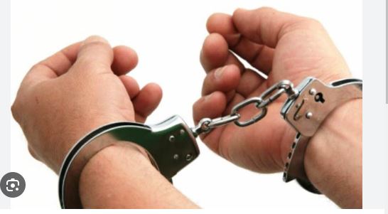 ८ वर्षीय बालिका बलात्कारको आरोपमा २ सशस्त्र प्रहरी पक्राउ