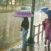 औसतभन्दा डेढ गुणा बढी वर्षा, नयाँ कीर्तिमान कायम